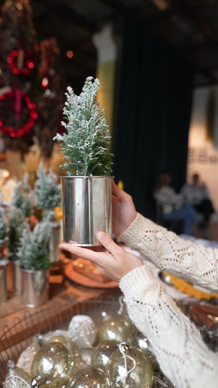 mujer sosteniendo un pequeño árbol de navidad en una olla de metal, entre otras decoraciones