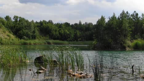 Vista-Baja-Del-Hermoso-Lago-De-Verano-Con-Césped-En-Primer-Plano-Rodeado-De-Bosques-Que-Avanzan