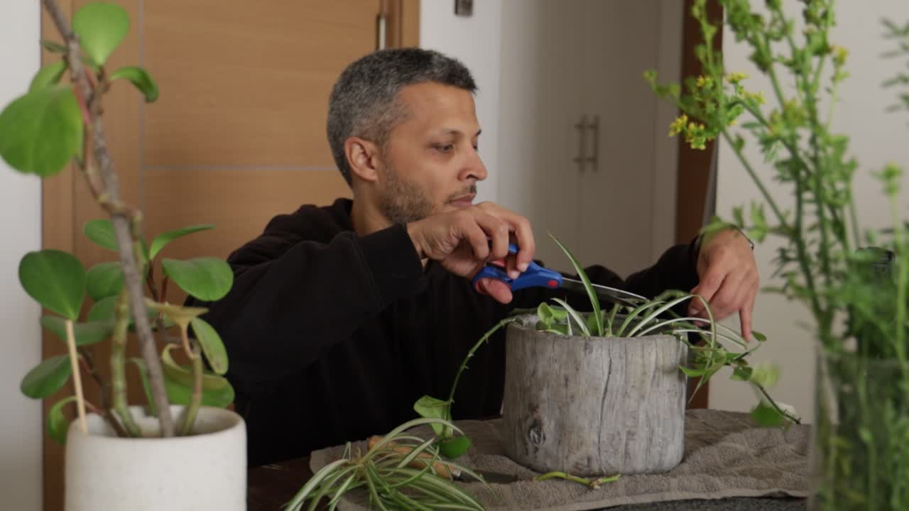 Uomo che pota con attenzione una pianta in vaso a casa.
