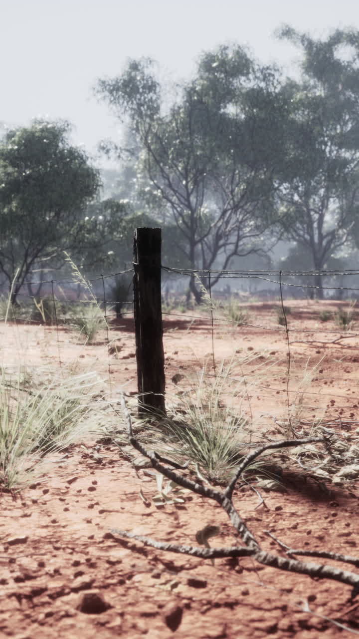 뒷면 에 가시 와이어 울타리 와 나무 들 이 있는 은  도로