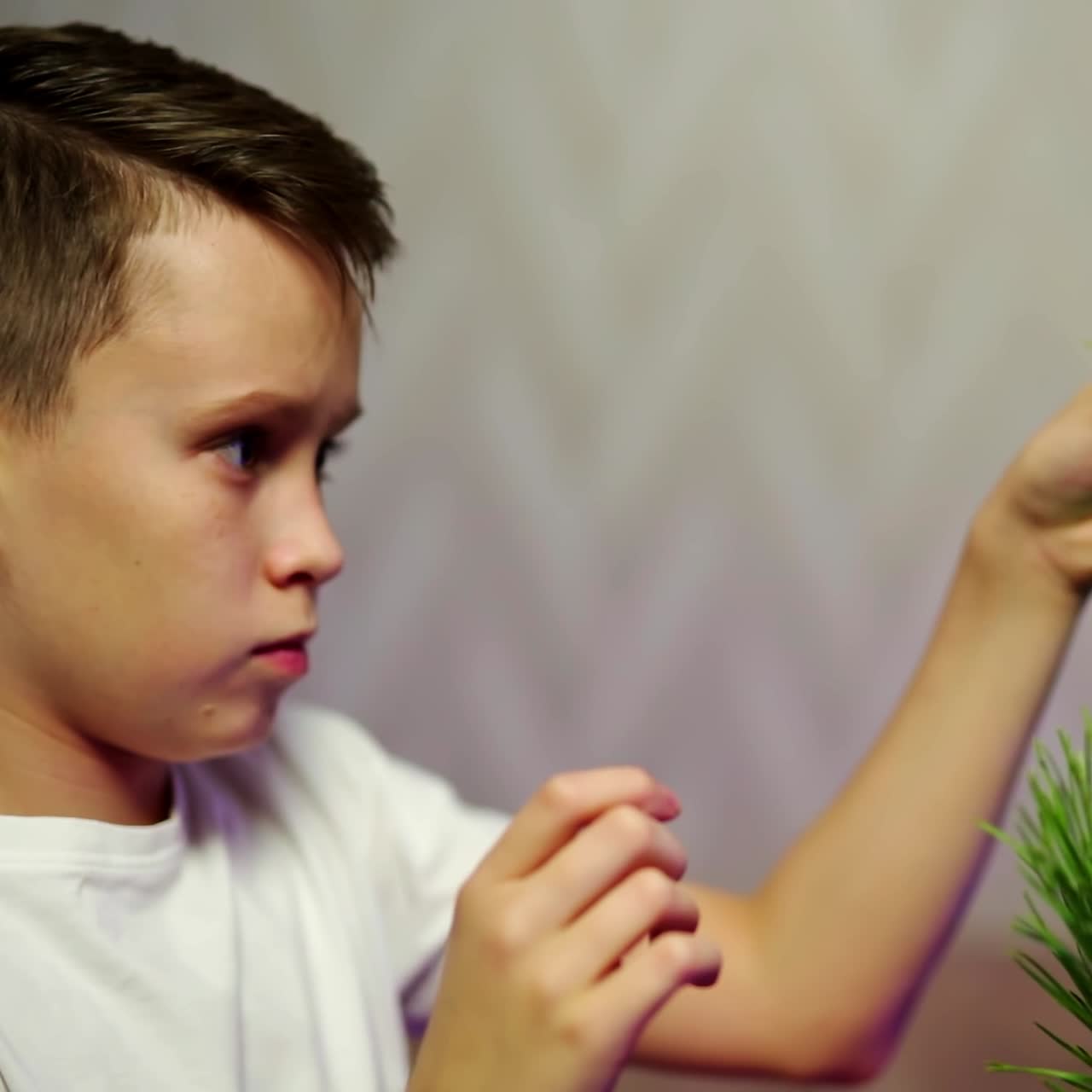 Kid decorating Christmas tree