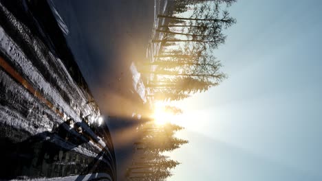 Flight-above-Winter-Forest