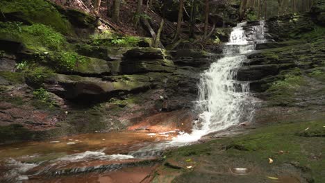 cascadas en el bosque en verano con musgo verde que crece en las rocas