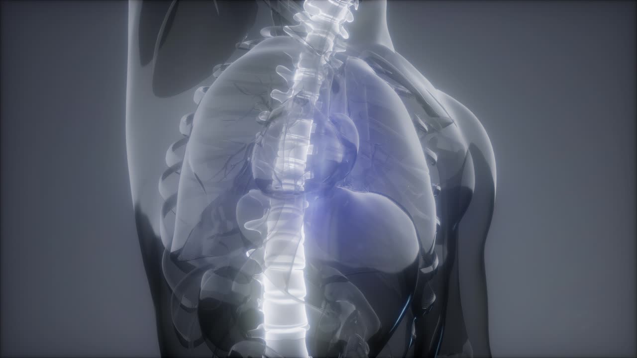 머리 통증 두통 - 남성 척추 통증