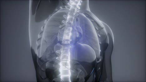 dolor de cabeza dolor de cabeza - hombre dolor de columna vertebral
