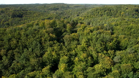 aerial reverse dolly from coniferous green forest on rolling mountains