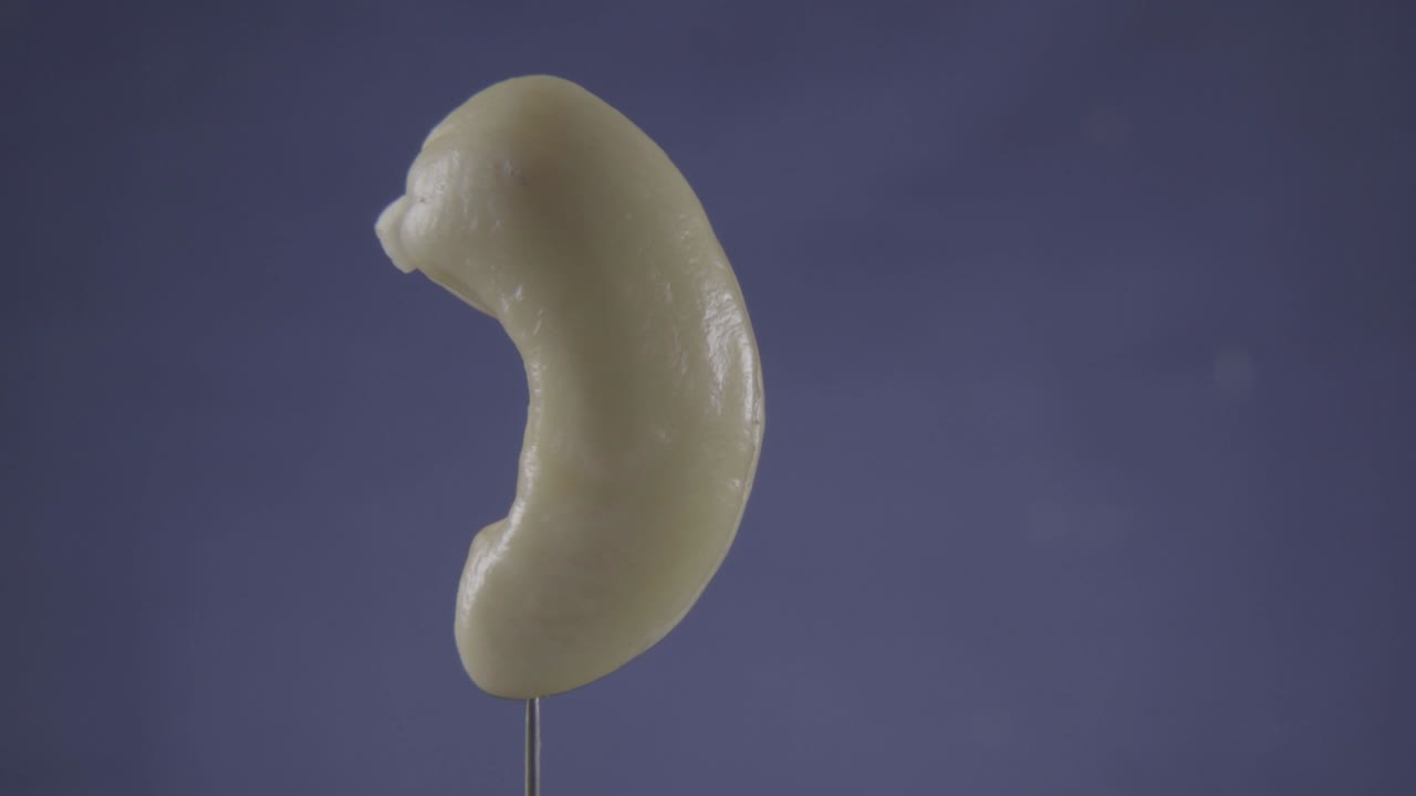 caju girando con bucle en la pantalla azul para la llave de croma