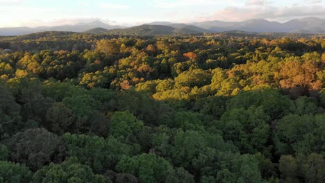 drone flying over trees in mountains by hidden house