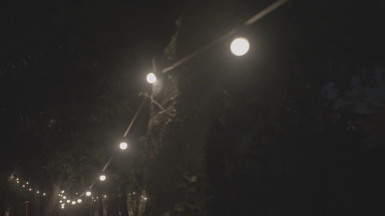 String lights glow softly hanging from dark trees at night in a park, with the camera moving slowly underneath the garland