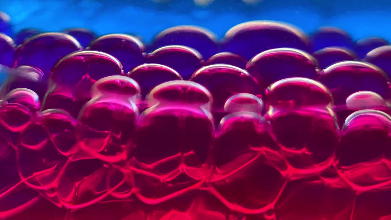 burbujas de colores hipnóticos flotando y moviéndose