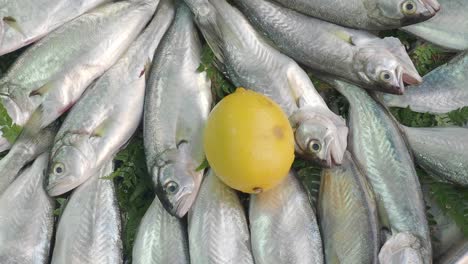 fresh fish and lemon