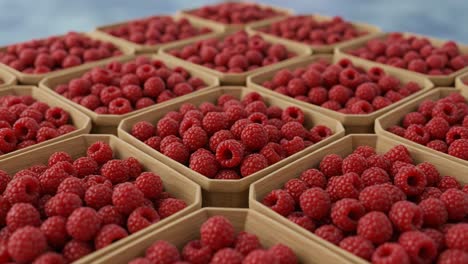 a rich display of fresh, plump red raspberries organized in wooden containers, showcasing their healthy and delicious nature in a vibrant market setting