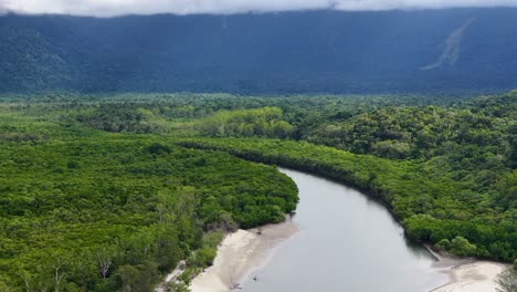 drone glides above a winding river through dense, lush rainforest in port douglas, queensland, under cloudy skies with soft, natural daylight