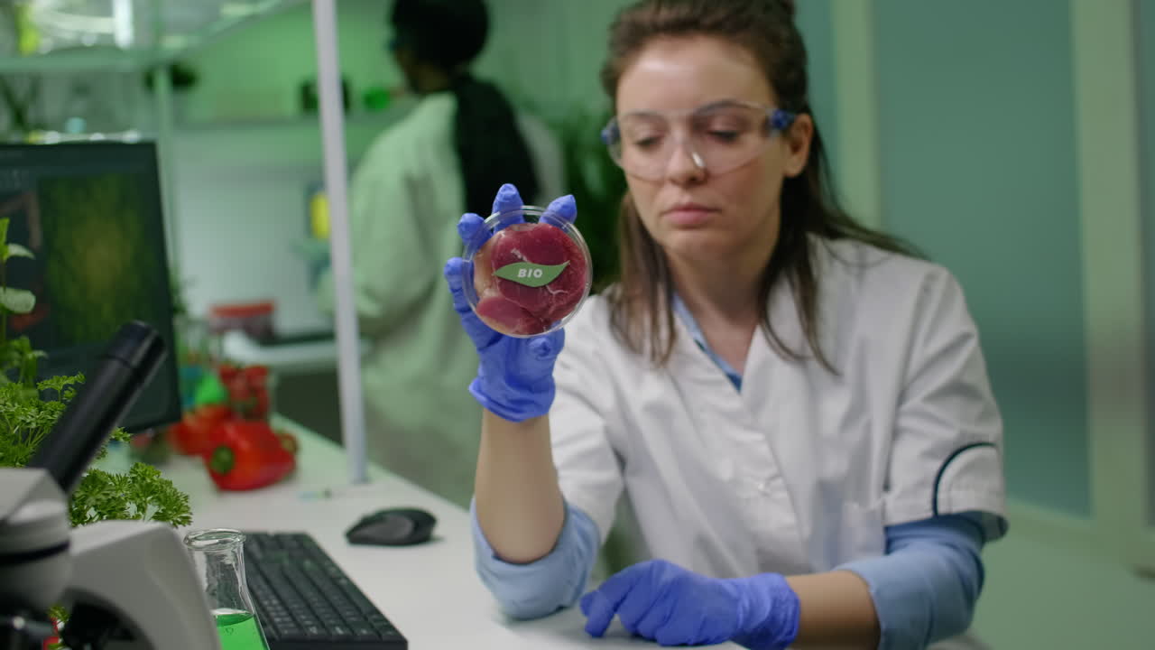 Scientist woman looking at vegan beef meat for biochemistry experiment