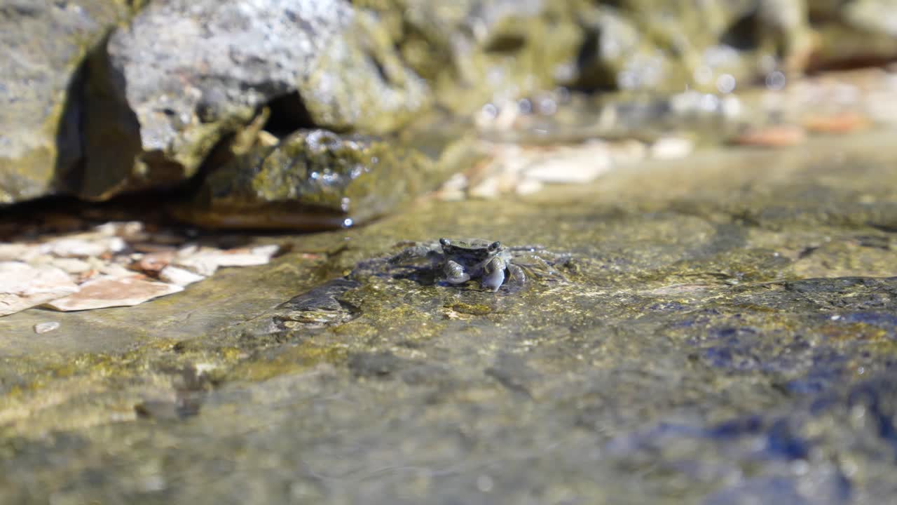 Shallow rock pool in coastal area