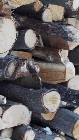 stack of firewood with snow