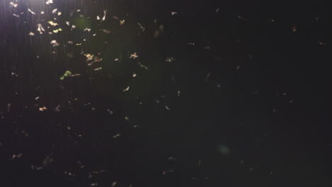 wide handheld shot of a streetlight in a tropical environment at night, enveloped by countless insects and moths. dense, swarming motion in humid air creates a haunting and immersive atmosphere.
