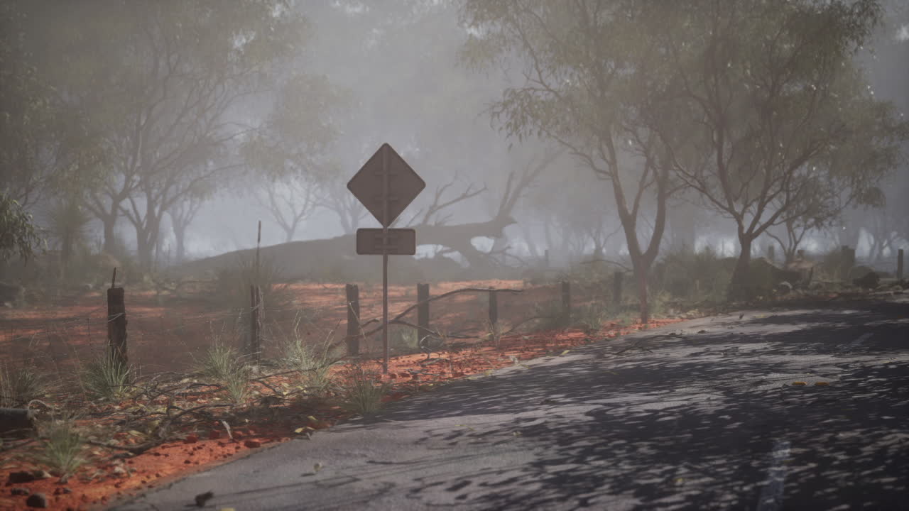 camino de niebla a través del interior