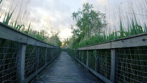 Paseo-En-Primera-Persona-Por-Un-Sendero-De-Madera,-Parque-Natural-Pantanoso-Con-Juncos-Altos,-Palmira,-Nueva-Jersey,-Al-Atardecer