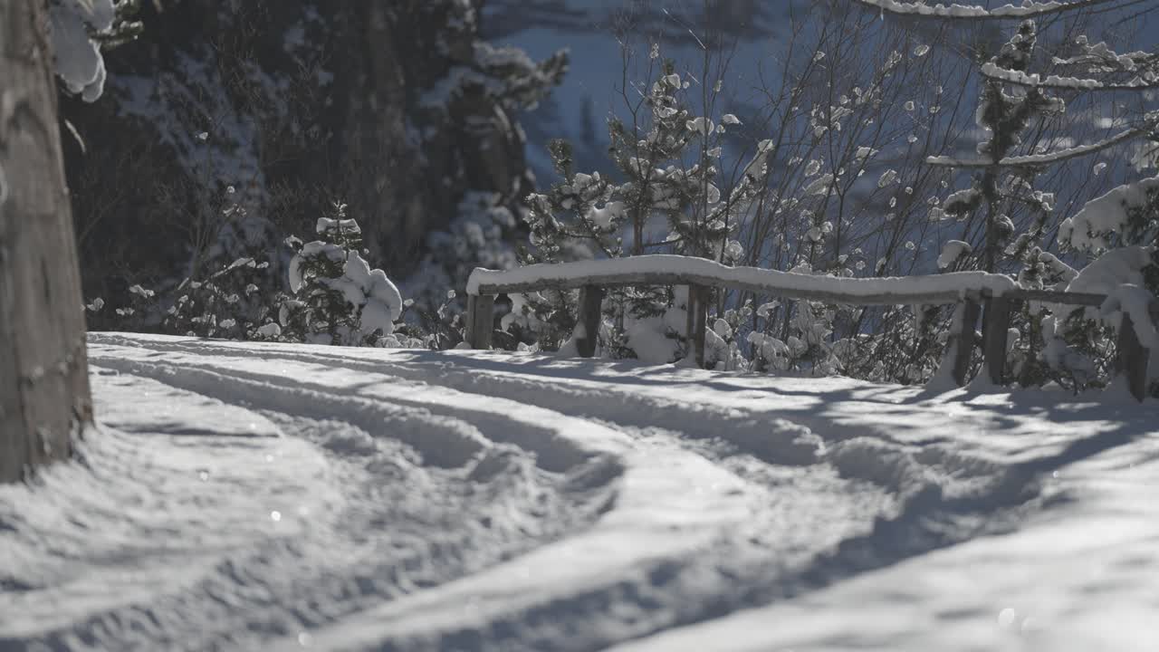 A snowy road winds uphill through a forest with visible tire tracks marking the fresh winter surface. Parallax video.
