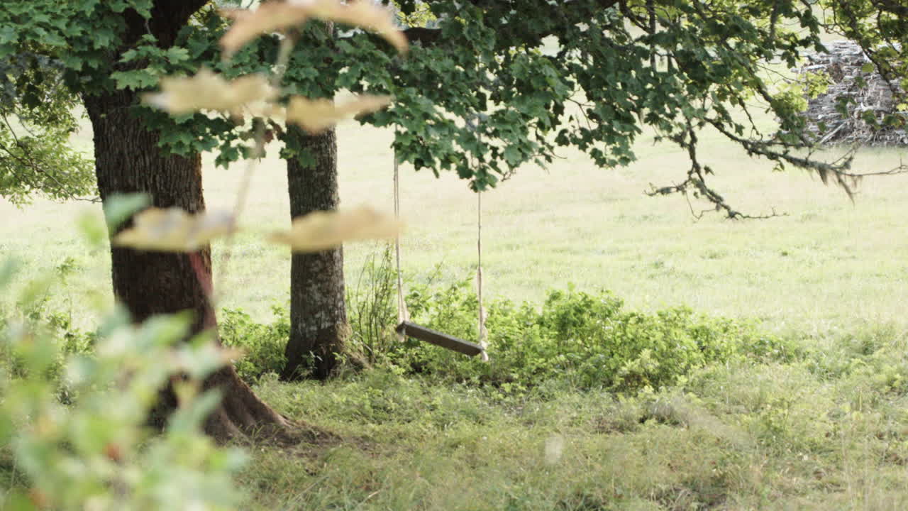 이른 햇빛 슬로우 팬에 스윙