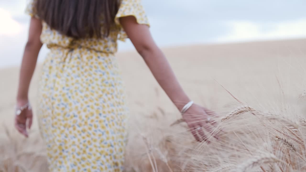 Close up view of a woman touching ripe wheat with her hand while walking along field.