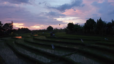 Low-flying-dolly-aerial-shot-of-rice-field-plantation-farms-on-the-hills-in-Bali-at-night