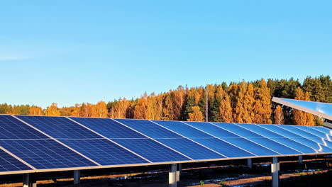 solar panel viewed at camera height with vibrant autumn forest colors in the background.