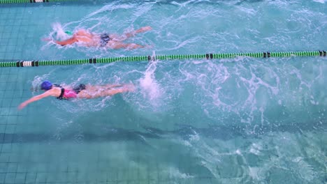 fit swimmers racing in the pool