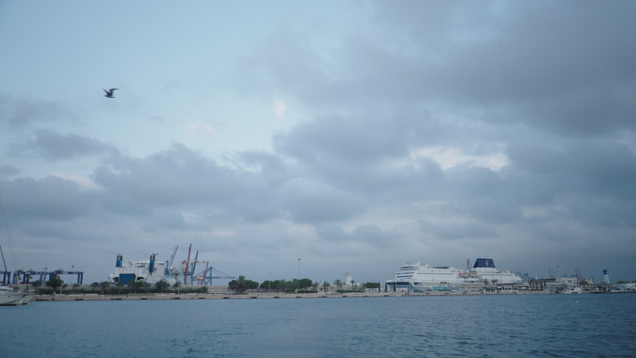 Seagull flying in a cloudy sky