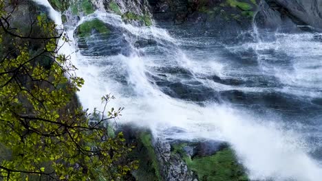 majestic powerscourt waterfall: captivating close-up vertical video of nature's flow in county wicklow, ireland