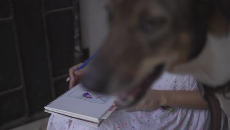 cinematic footage of a person drawing on a notebook with a dog in the foreground in rural goa, india