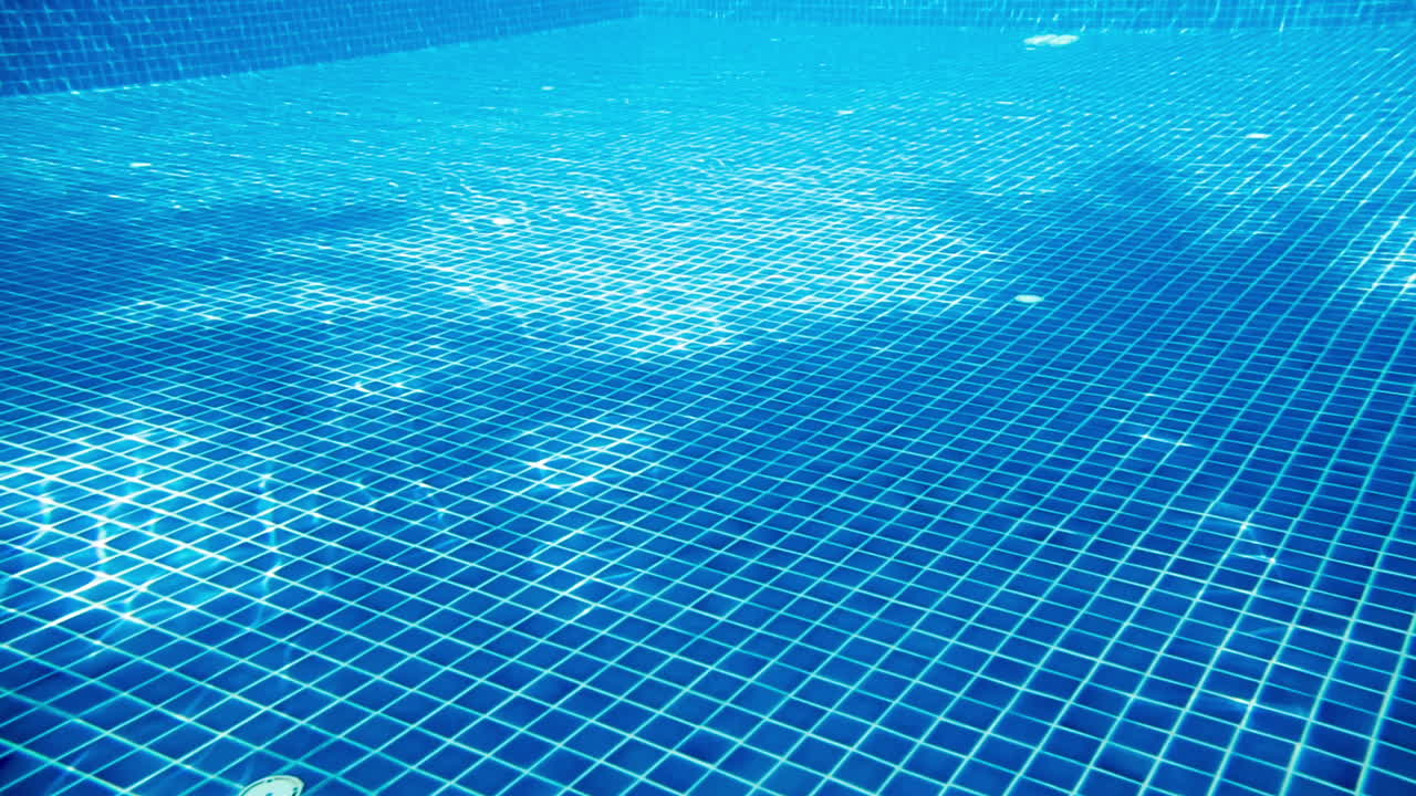 수영하는 물에서