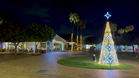 illuminated tree with people at night