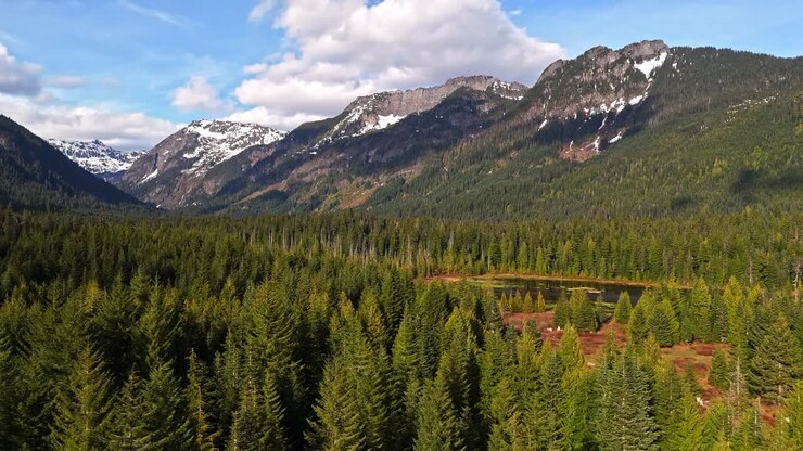 Vista aerea del paesaggio dello Stato di Washington con foreste sempreverdi e montagne presso Gold Creek Pond