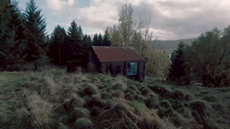Dolly-forward-abandoned-cabin-in-forest.-Iceland