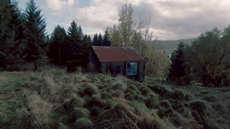 dolly forward abandoned cabin in forest. iceland