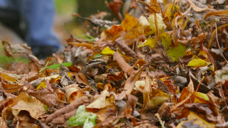 side angle of pile of autumn fall leaves as man approaches sweeping with broom towards camera in slow motion 4k
