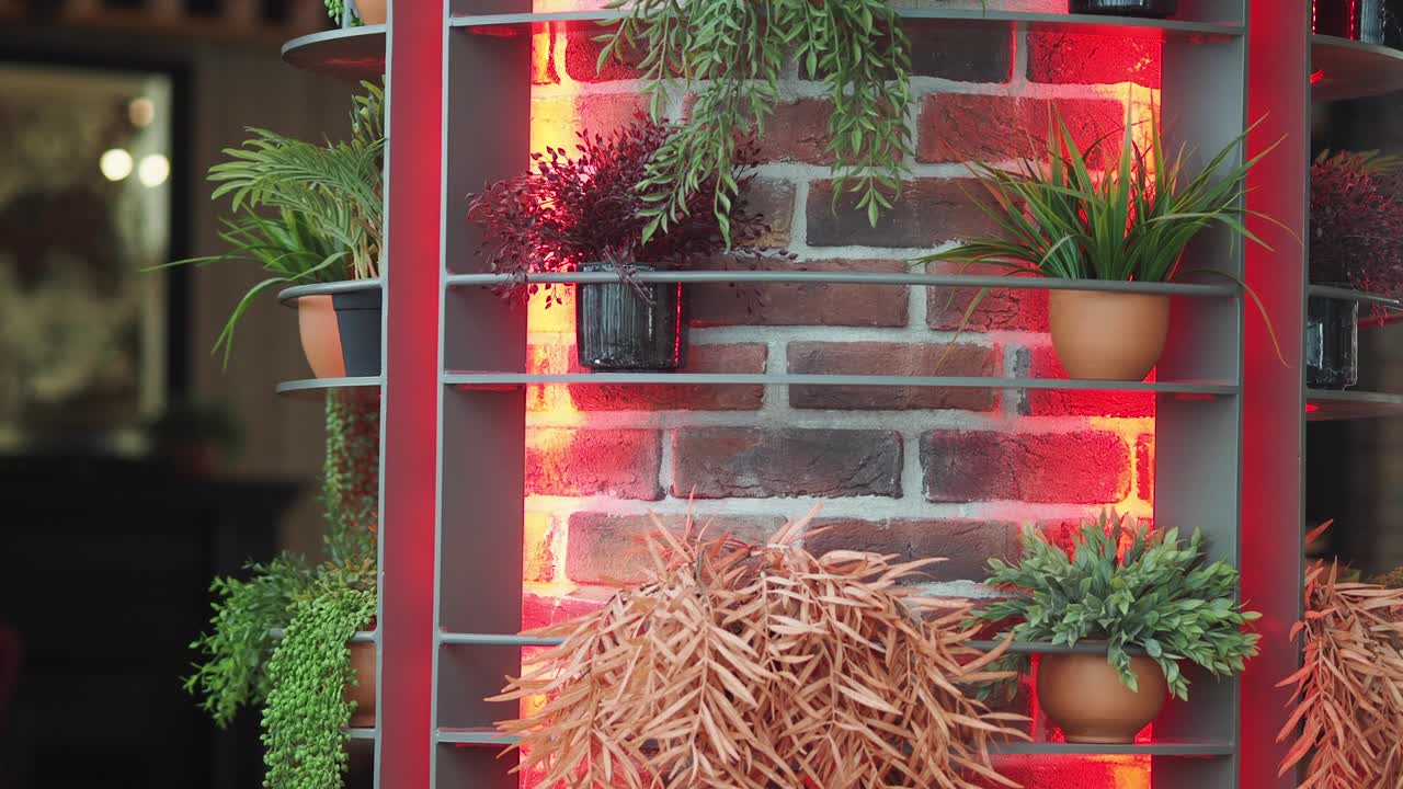 Potted Plants on Illuminated Shelves Against a Red-Lit Brick Wall
