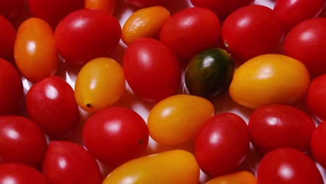 a vibrant and colorful display featuring red and yellow cherry tomatoes in a variety of unique a vibrant and colorful display featuring red and yellow cherry tomatoes in a variety of unique shapes and sizes