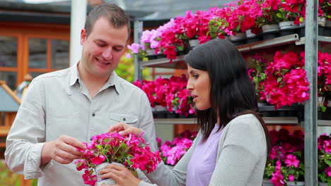 hombre y mujer de pie frente a un estante de flores