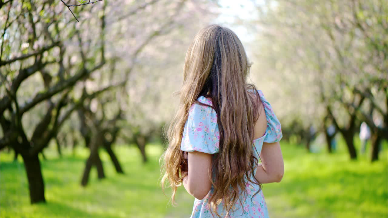 Brunette woman in a blue dress enjoying a field of blooming almond trees