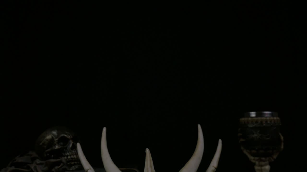 sesión de producto de cráneo de dragón de hueso de fantasía