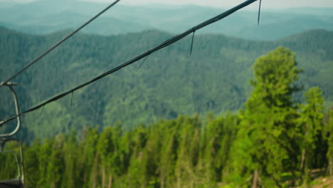 stunning view of thick coniferous woodland from cable car. recreation in tranquil atmosphere with panoramic scenery of hilly mountains. weekend without gadgets