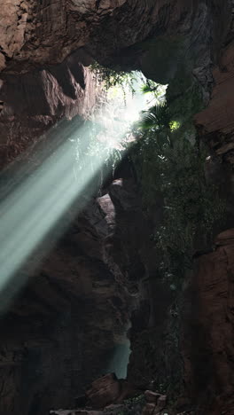 la luz del sol fluye a través de la entrada de la cueva en la jungla