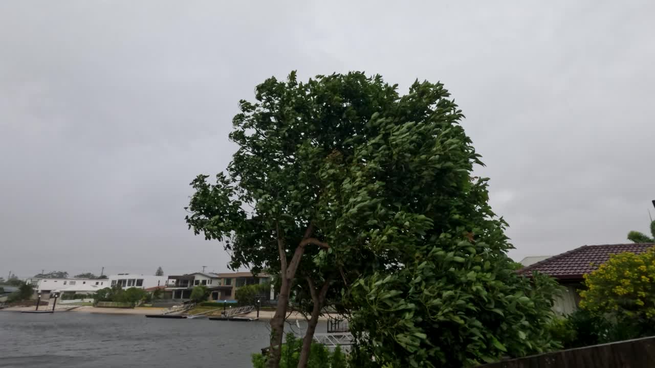 폭풍 중에 강한 바람에 힘차게 흔들리는 나무, 구름이 가득한 하늘 아래 교외 배경에 설정