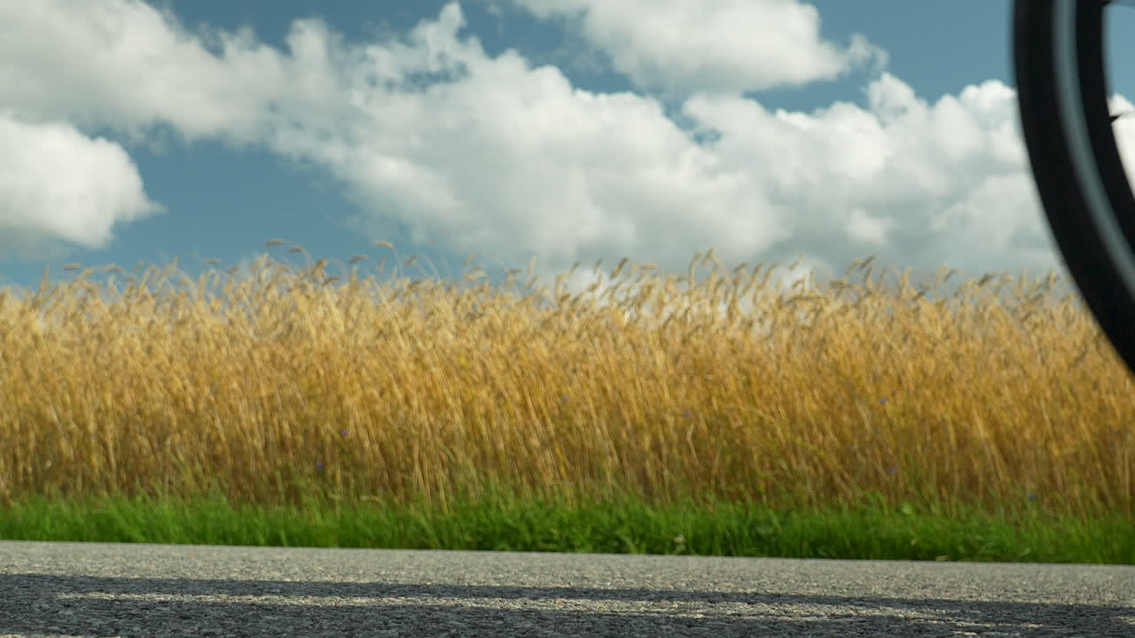 Low shot of a bicycle passing on asphalt against a backdrop of a ripening grain field