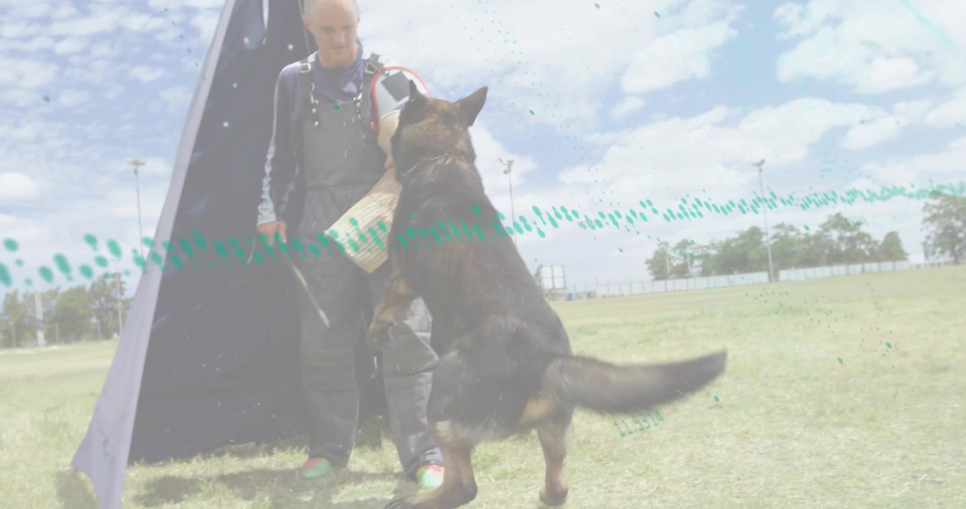 Treinador apresentando manga de mordida, Pastor Alemão saltando e mordendo para treinamento K9, rastreamento com pontos verdes.