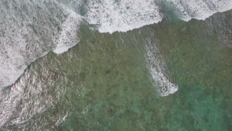 Vista-Aérea-Del-Agua-Azul-Del-Océano-Con-Olas,-Corales-Y-Plantas-Acuáticas-Isla-Mauricio