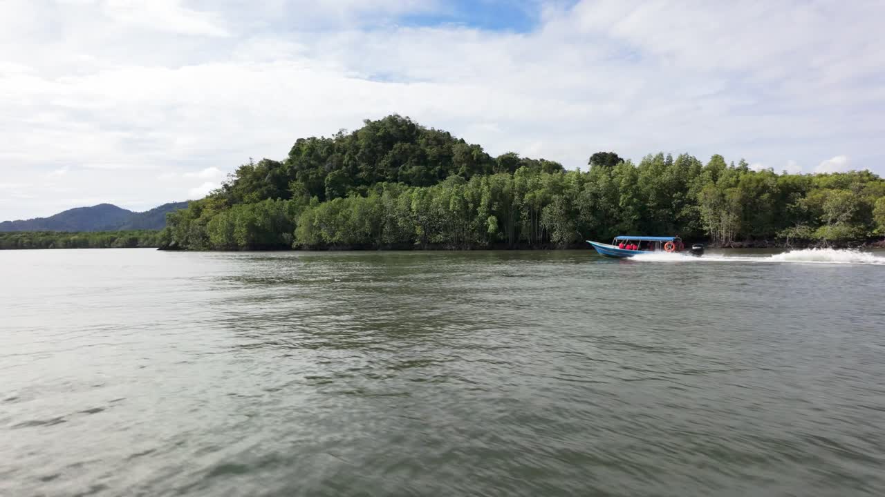 지오 숲의 평온한 아름다움을 탐구하십시오.